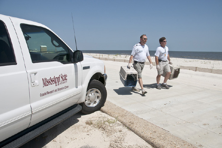 Two people walking on the sidewalk along the coast carrying two animal carriers.